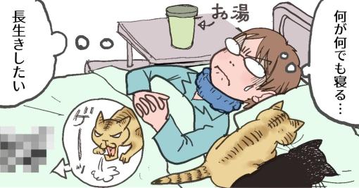 年齢とともに病気は身近になるけれど、自分を知れば対処できる。漫画家・山下和美さんの健康管理 - lala a live(ララアライブ)│フォーネスライフ