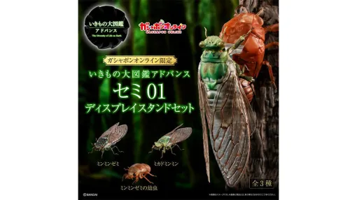 「ミンミンゼミ」のリアル過ぎるフィギュアが販売へ、6月18日より「ガシャポンオンライン」で予約開始。成虫のほか、ミカドミンミン、ミンミンゼミの幼虫3種がラインナップ、関節も可動