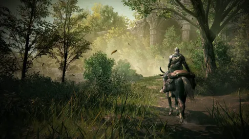 The Elden Ring DLC says the map size is about the size of Limgrave. Where is it going?