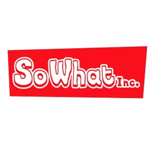 SoWhat's financial results for the fiscal year ending March 24 show a 28.5% decrease in final profit to 10 million yen ... Imagineer's game development subsidiary