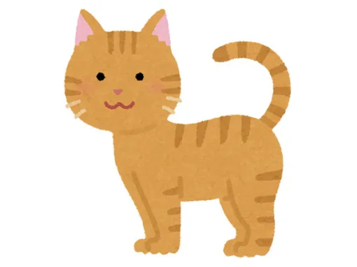 Announcement of the results of the "things that tend to be found in cat-type game machines"!