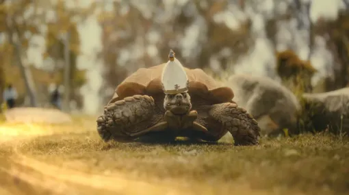 A cute real turtle in the style of Míriel appears in the promotional video of the DLC of "ELDEN RING" Thumbs up pumpkin helmet man