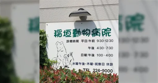 近所の動物病院には獣医師と同級生だった高橋留美子先生が描いた国宝級の看板がある