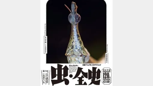 表紙の顔と分厚さで圧がすごいナショナルジオグラフィックの書籍『虫・全史』7月18日に発売へ。全640ページと写真120点で虫たちの歴史や生態をひとまとめ