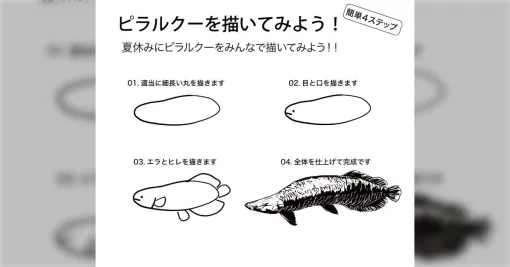 栃木県なかがわ水遊園が紹介した「4ステップで簡単に描けるピラルクーの描き方」が柴崎おじいちゃん先生レベル それでも挑戦する絵師が続々