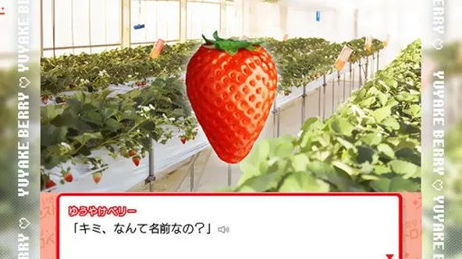 [Start of distribution] "Sudden Strawberry" capture target is strawberry! A romance SLG aiming for a happy ending with "Yuyake Berry" and "Fukuharuka" in Fukushima Prefecture