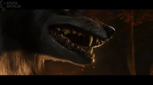『ゴースト・オブ・ヨウテイ』新映像が公開。ゲーム内容の詳細は7月に発表予定。映像では、エゾオオカミと思わしき狼が町を見下ろして唸りをあげる迫真のシーンも見られる