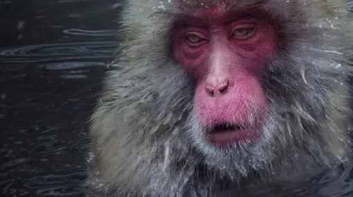 Autodesk at SIGGRAPH 2025