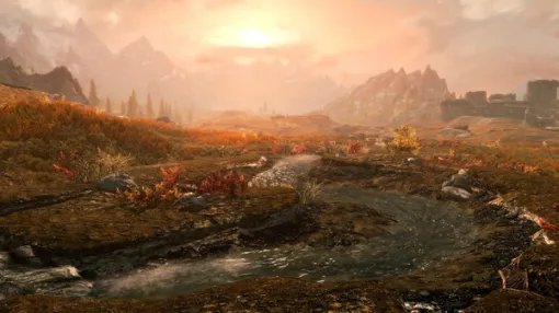 A gamer battling illness who wrote a memoir of the trajectory of his "Skyrim" adventure, this time explaining the circumstances in a video. I loved it, but I can't play it anymore... Departure from there