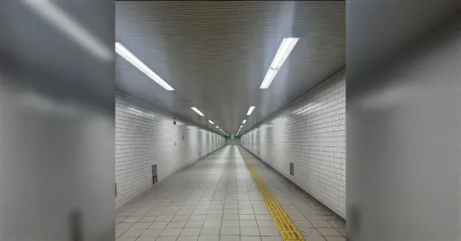 「実は『8番出口』の大本のモデルになったのは大阪の駅です」制作者が明かしたことで特定班が仕事を始める「ぜったい谷町線」「清澄白河じゃなかったのか…」