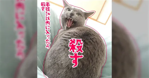 ポムポムプリン公式アカウントの“おさわりマップ”公開がきっかけとなり飼っている犬や猫のおさわりマップ投稿が大流行、見た目とのギャップがかわいらしい