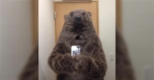 趣味でリアルなクマの着ぐるみを作っているが、作り始めた当時は今ほどクマ遭遇の発生件数も多くなくギリ冗談で終わったかもだけど今は普通にガチ人生終わりそう