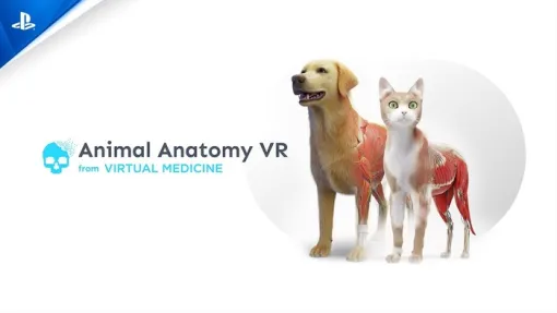 教育シミュレーション『Animal Anatomy VR』がリリース──犬・猫の体内をアリとなって旅する解剖探検 教育シミュレーション『Animal Anatomy VR』がリリース──犬・猫の体内をアリとなって旅する解剖探検