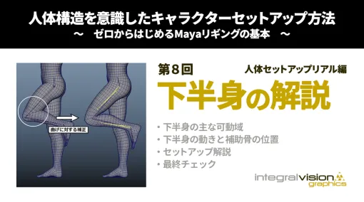 人体構造を意識したキャラクターセットアップ方法 ～ゼロから始めるMayaリギングの基本～ 第8回：人体セットアップリアル編/下半身の解説