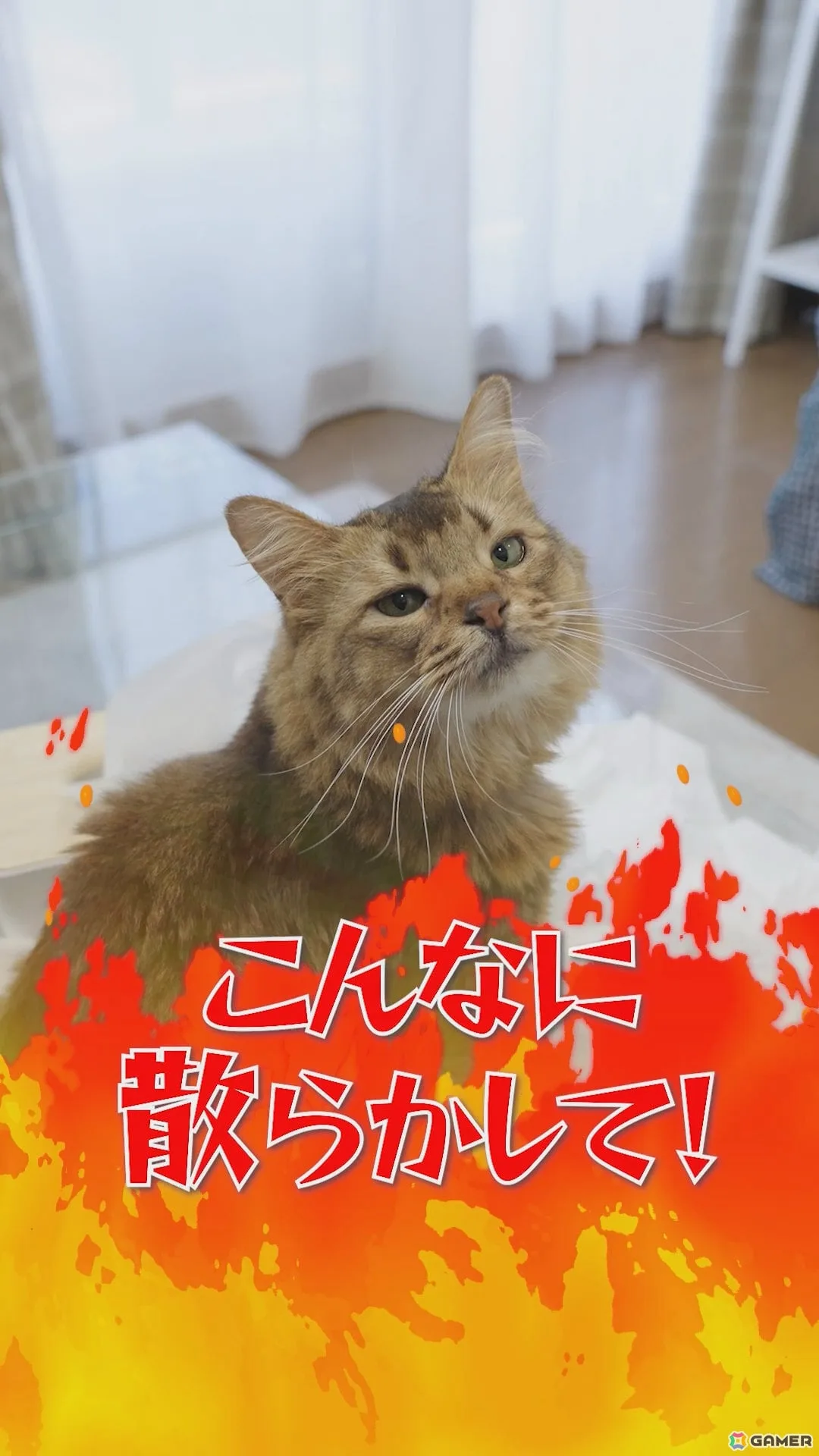 「デモンズナイトフィーバー」可愛い猫（邪神）が悪戯やり放題！？全6種のWebショートCMが順次公開